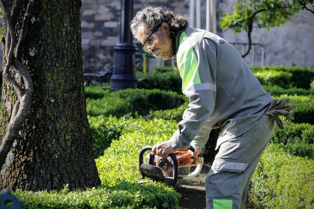 Realiza Coyoacán jornada de limpieza tras conmemoración por Día de Muertos