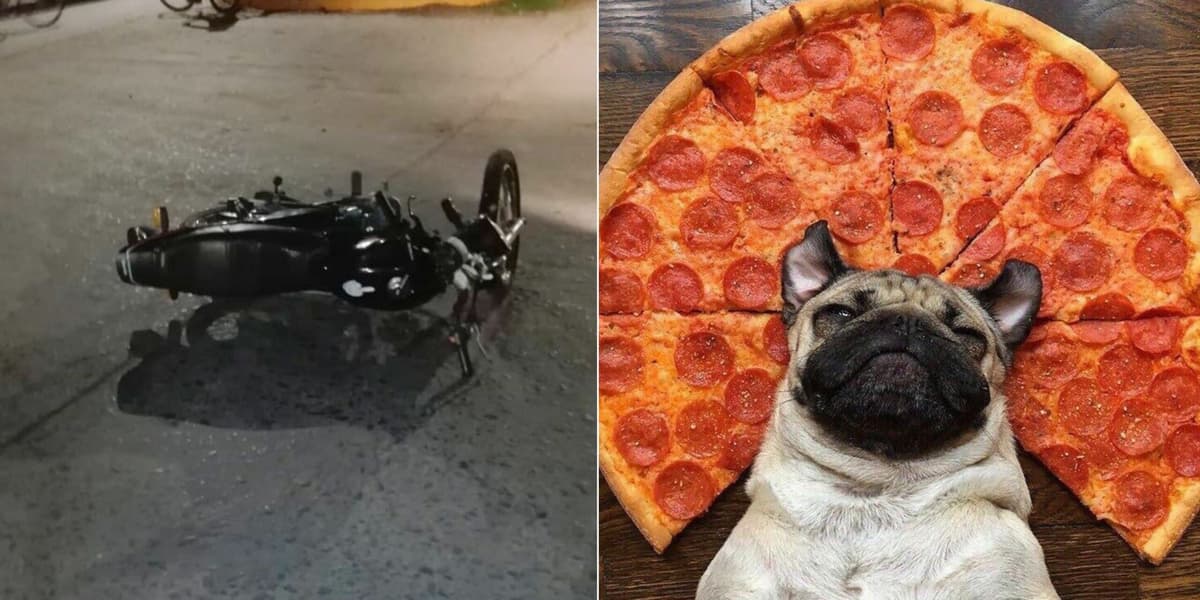 Perrito aprovecha accidente vial para comer pizza