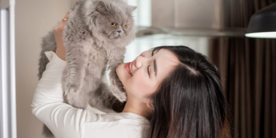 Renuncias masivas en protesta: Un jefe reprende a una pasante por querer estar con su gato moribundo