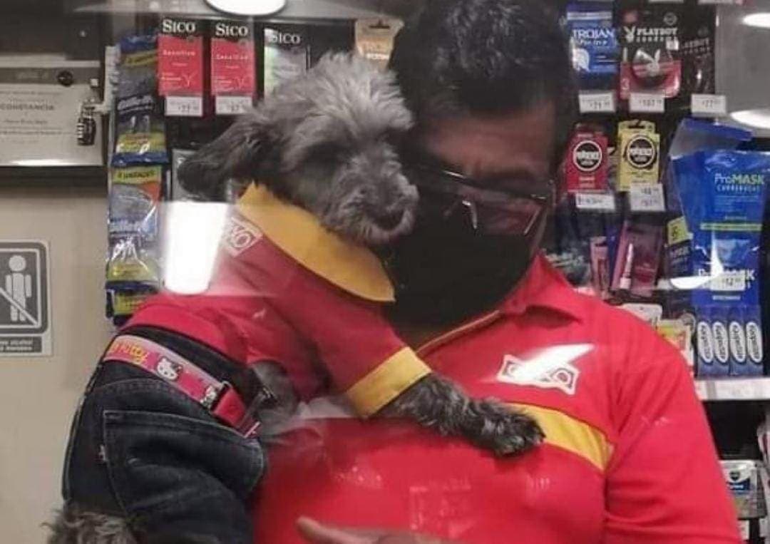 Captan a perrito 'trabajador' del Oxxo en caja para cobrar y se hace viral