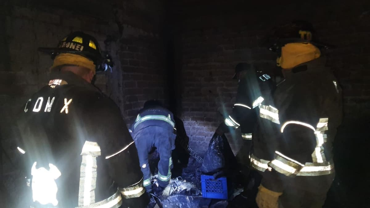 Fallecen 10 perritos en incendio de vivienda en la CDMX, lograron rescatar a 4