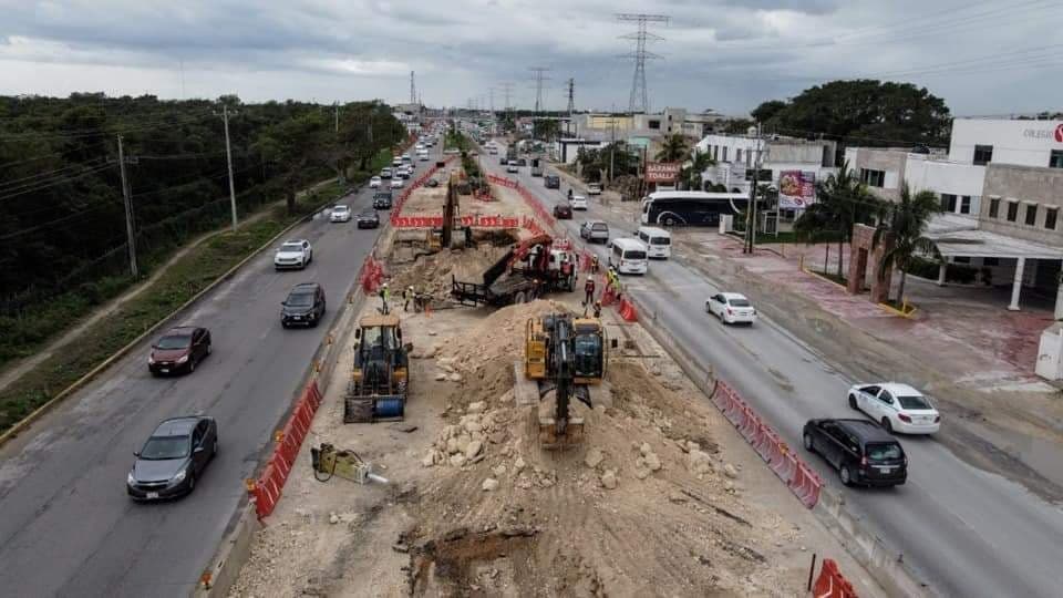 AMA acusa de despeje en vano de árboles por obra del Tren Maya en Playa del Carmen