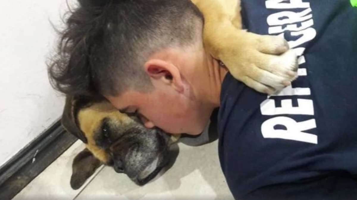 Perrita muere en los brazos de su dueño; tenía miedo a la pirotecnia