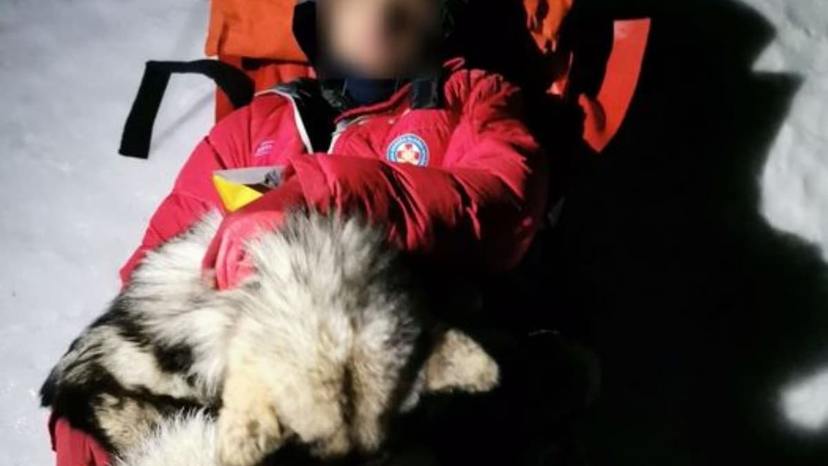 Lomito salva la vida a hombre que cayó de una montaña, se acostó sobre él para darle calor