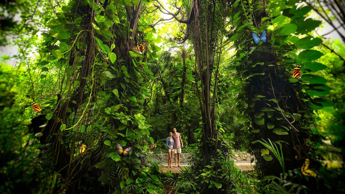 Xero, el nuevo parque de Grupo Xcaret que promete ser ecológico