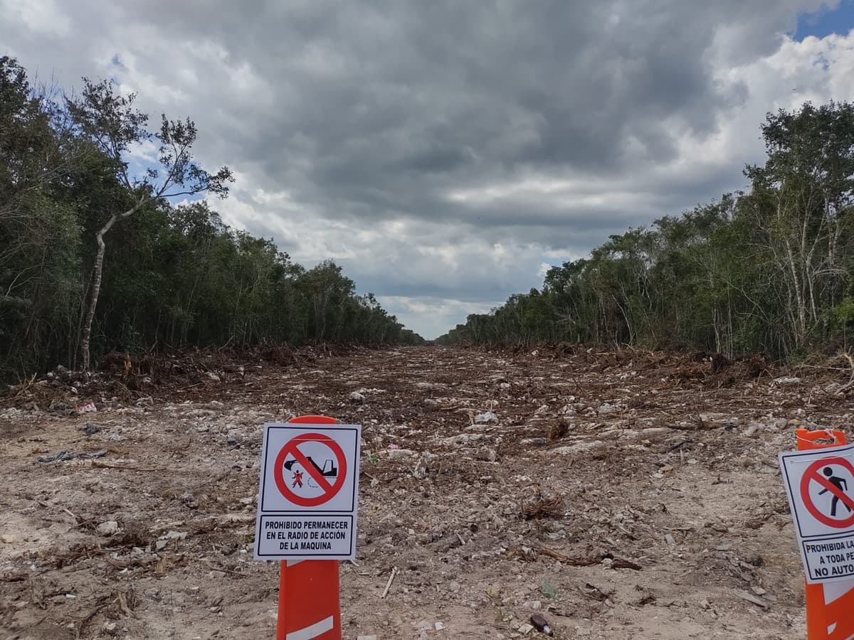 Daños por el nuevo trazo del Tren Maya son incalculables: ‘Amigos de Sian Ka’an’
