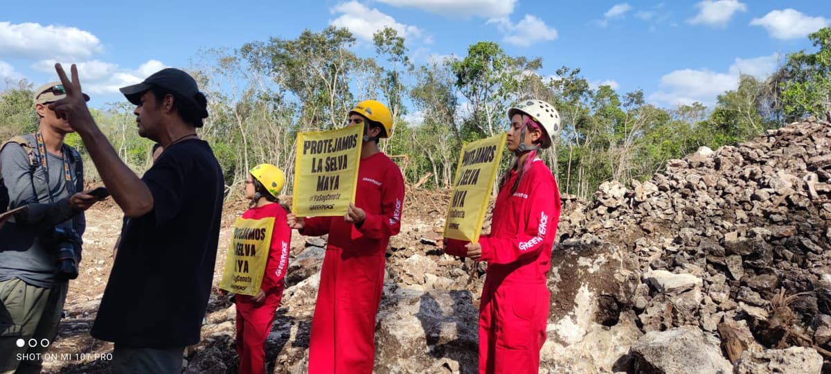 Greenpeace llama a proteger la selva y muestra preocupación por el tramo 5 del Tren Maya