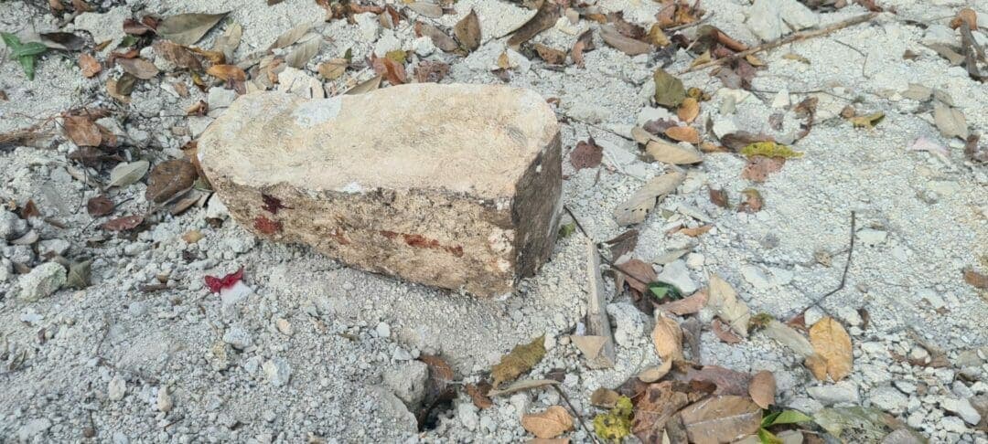 Hallan a hombre presuntamente asesinado a 'rocazos' en las inmediaciones de Tulum