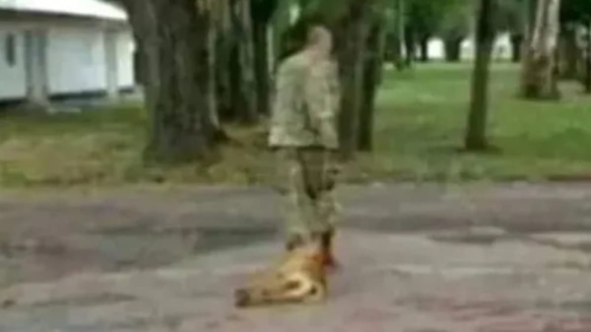 Cuerpo de militar que torturó a un perro es encontrado en un parque