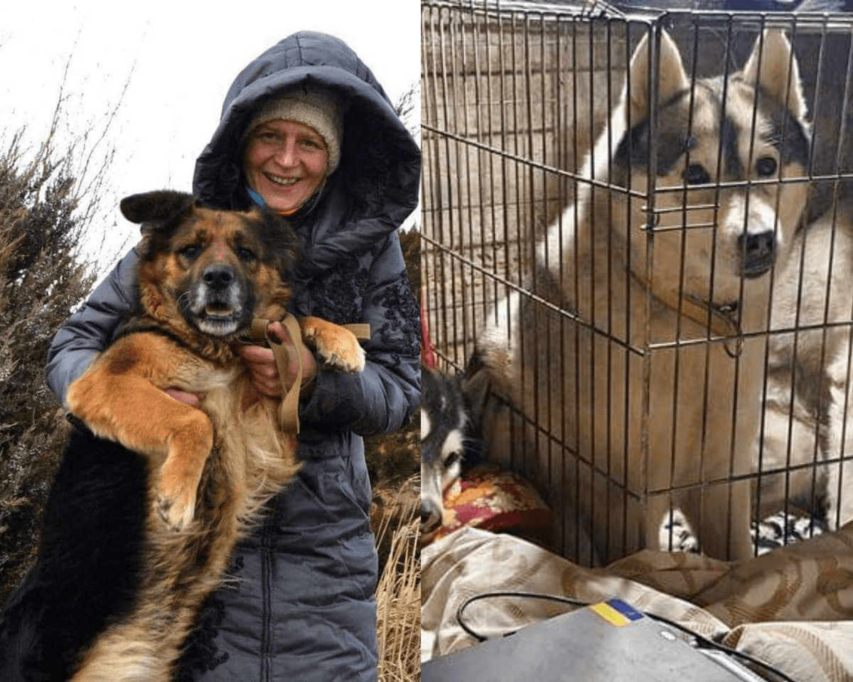Pierde la vida rescatadora por bombardeo en Ucrania; había resguardado a perritos durante la guerra