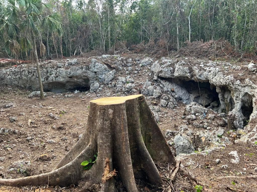 Juez concede nueva orden de suspensión provisional contra la construcción del Tren Maya