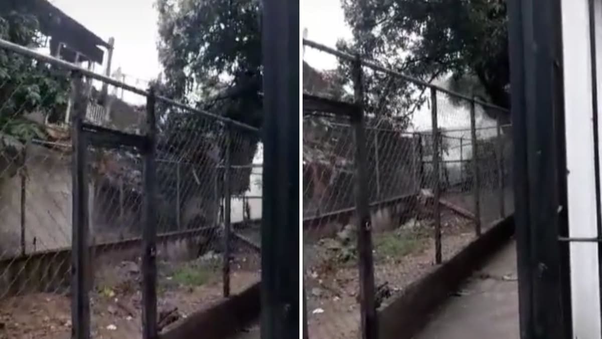 VIDEO: Captan el momento exacto en que deslizamiento de tierra se lleva varias casas por las lluvias