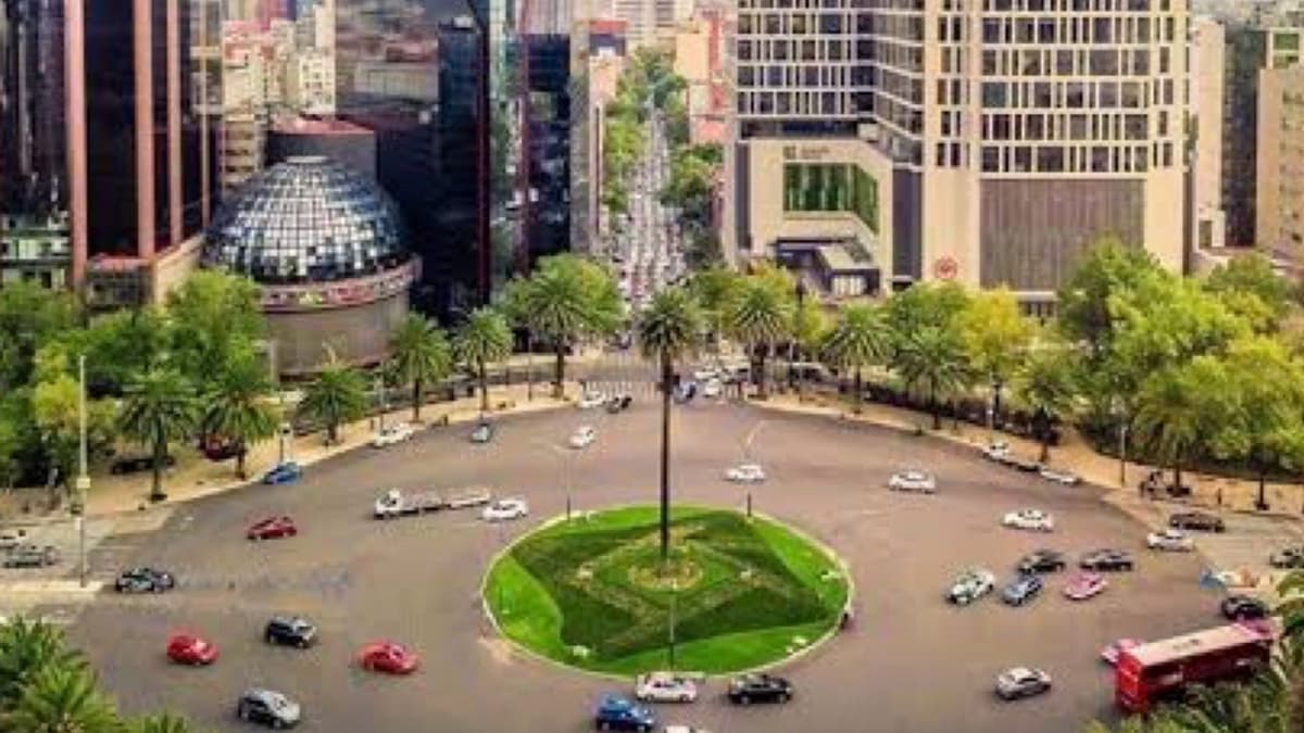 Anuncia Claudia Sheinbaum retiro de icónica palmera en el Paseo de la Reforma por un hongo