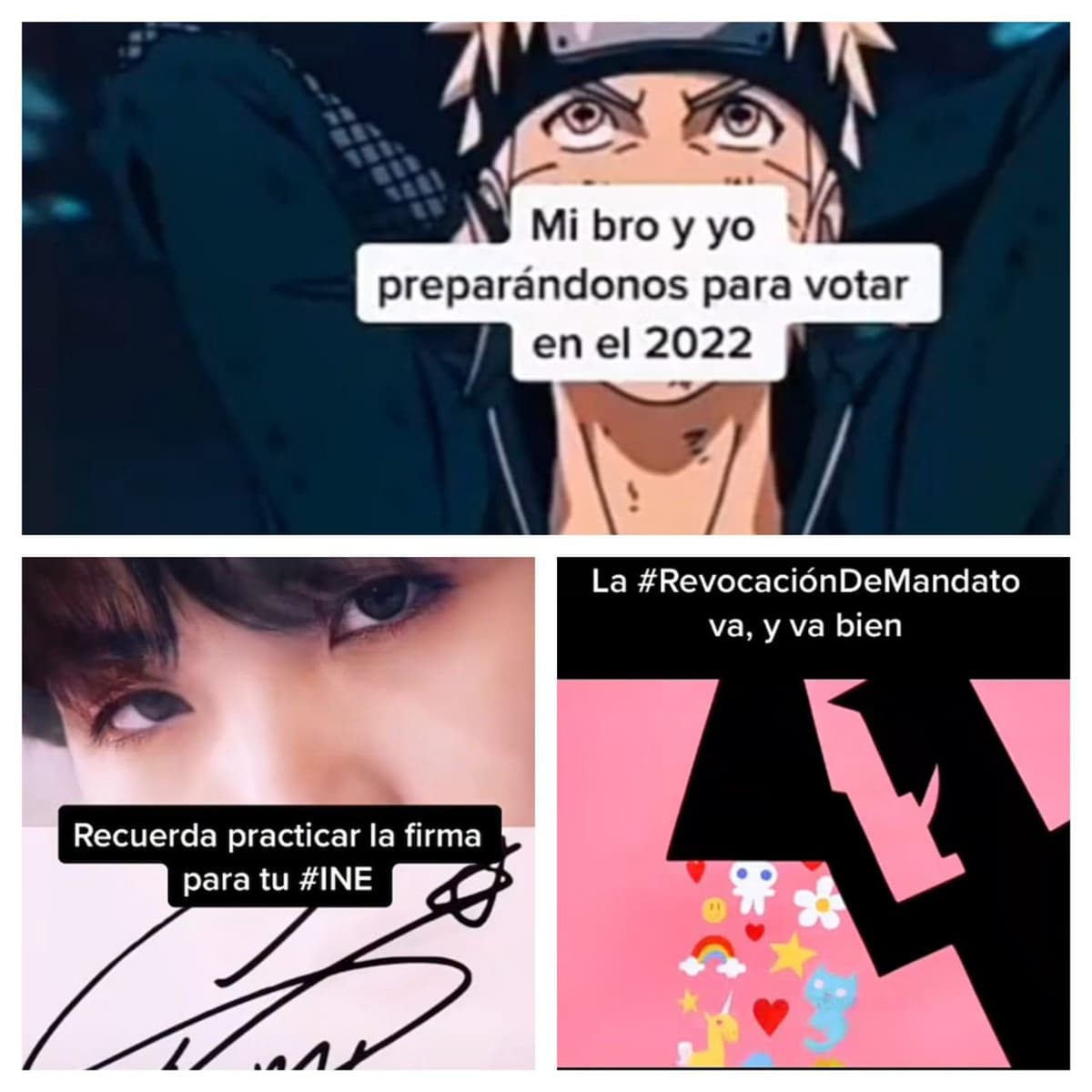 Video: INE llega a más de 950 mil jóvenes en TikTok, tras usar memes