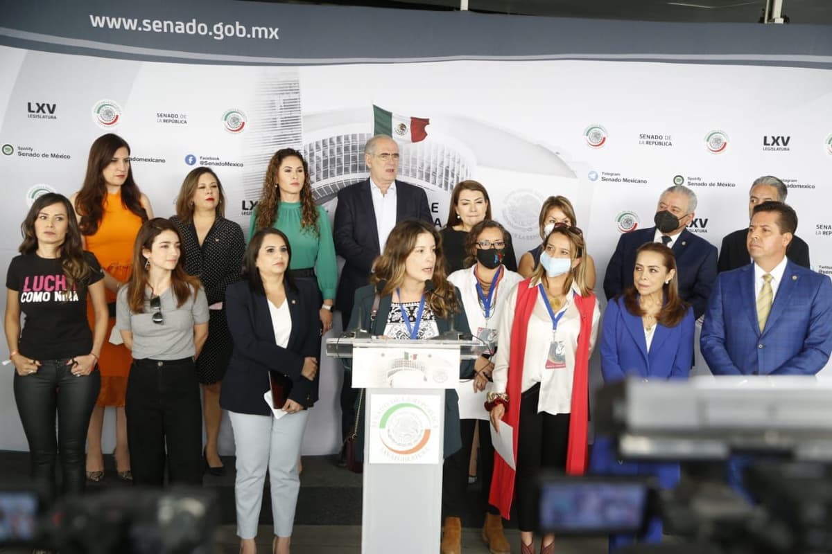 Ecologistas de Quintana Roo se hacen escuchar en el Senado de la República