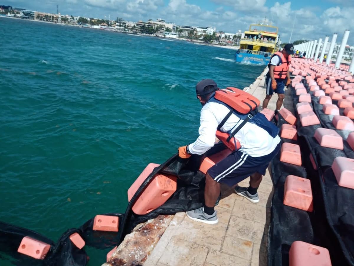 Acciones conjuntas se aplican en Quintana Roo para afrontar con éxito el arribo de sargazo
