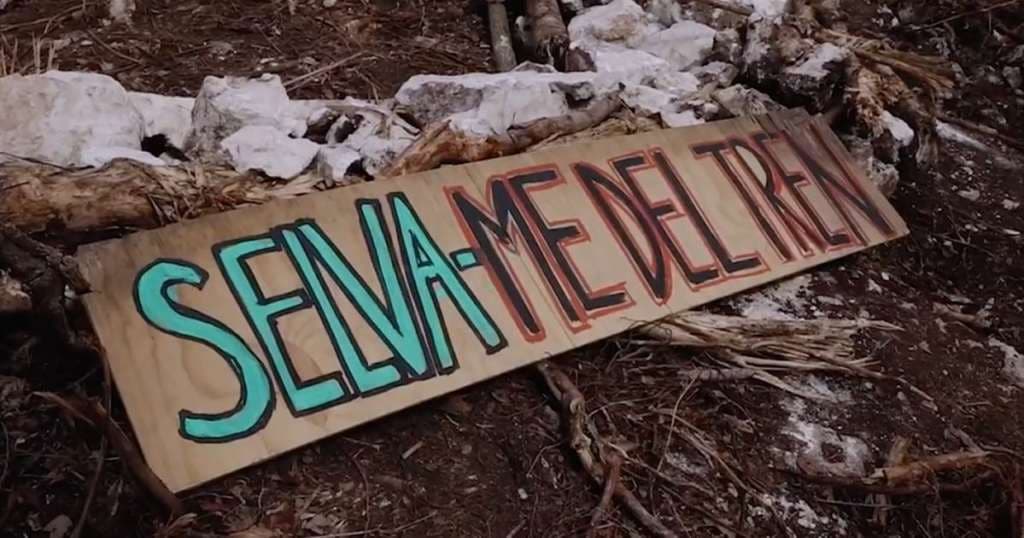 Lanzan página apócrifa de “Selvame del tren”