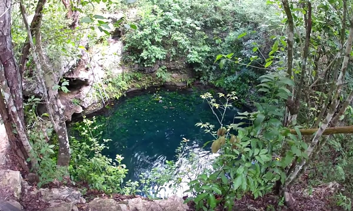 Invitan a próxima limpieza de cenotes en Benito Juárez