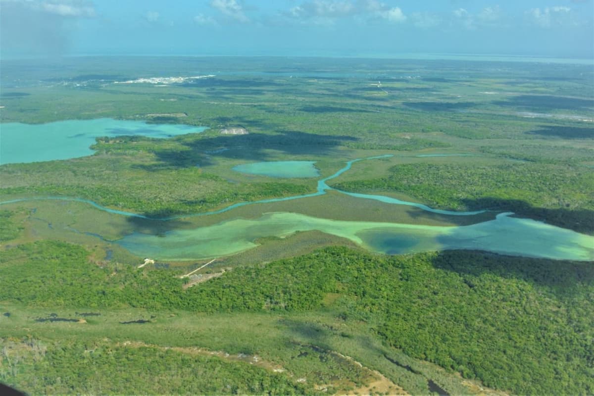 Ha quedado extinto el fuego forestal en 7 mil 554 hectáreas en Quintana Roo