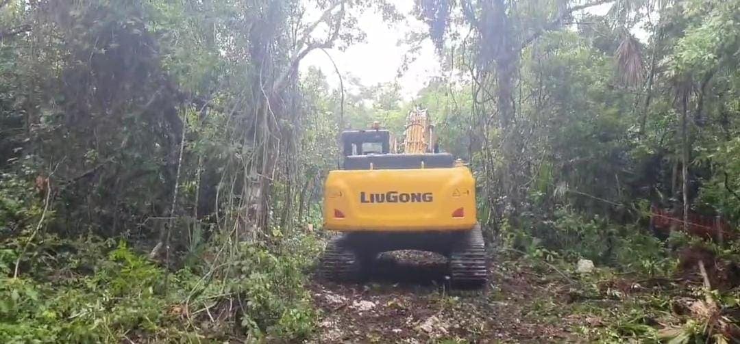 Video: Muestran ambientalistas devastación a la selva en Akumal por Tren Maya