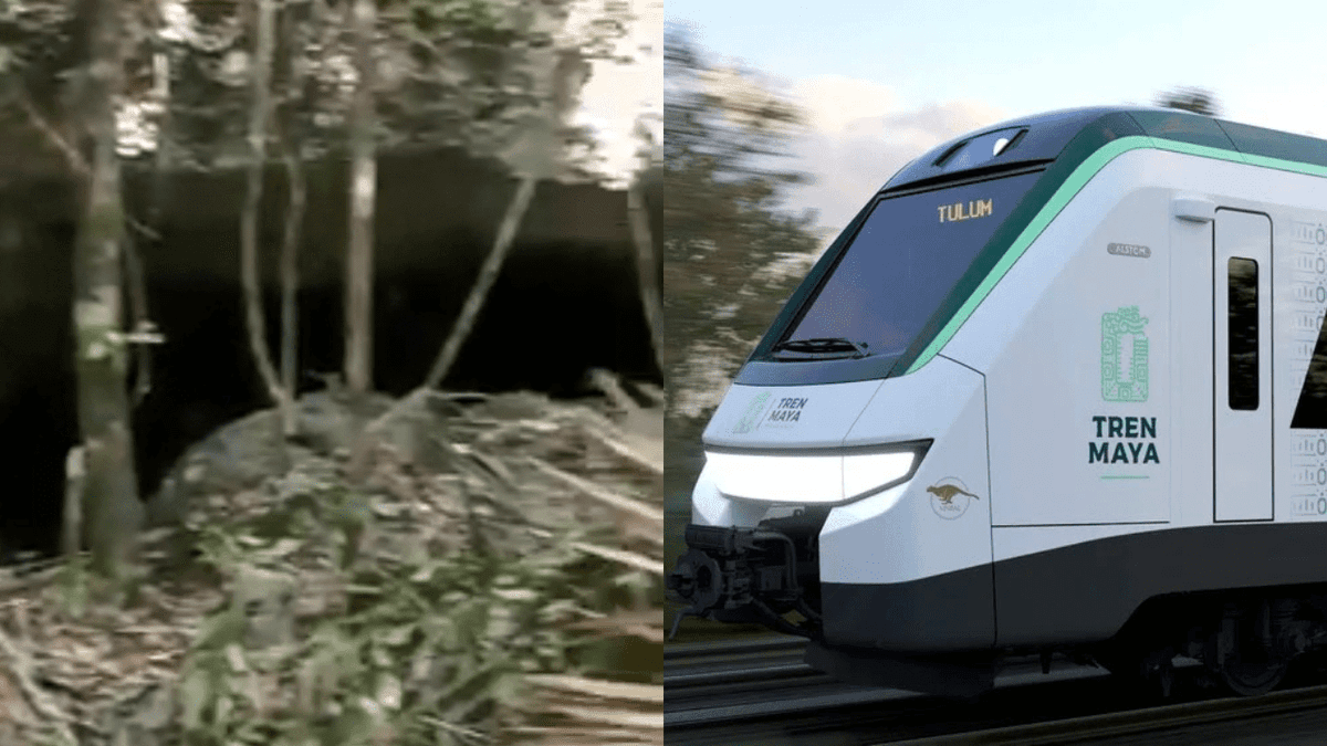 VIDEO: Desmontan vegetación de caverna "Guardianes" para paso del Tren Maya en Playa del Carmen