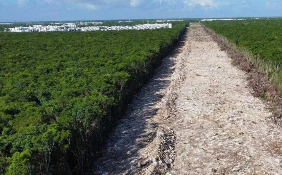 AMLO expropia 8 terrenos para el Tren Maya; aprueba su ocupación temporal inmediata