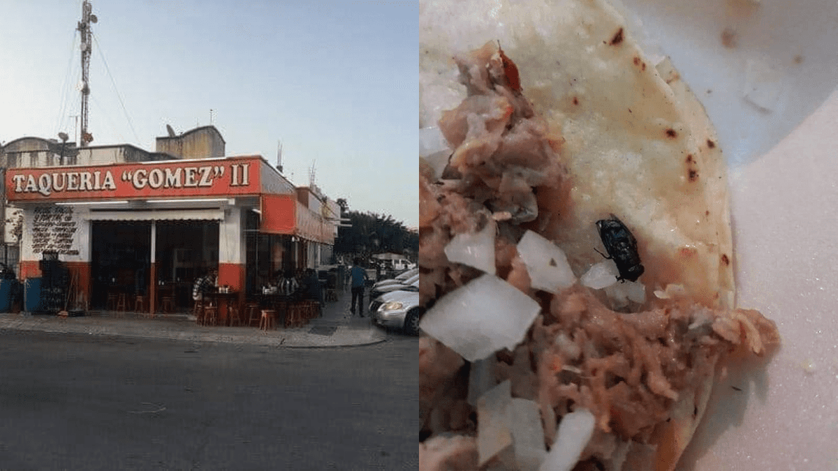 ¿Qué te pasó Taquería Gómez? Encuentra comensal una mosca sus tacos en Playa del Carmen
