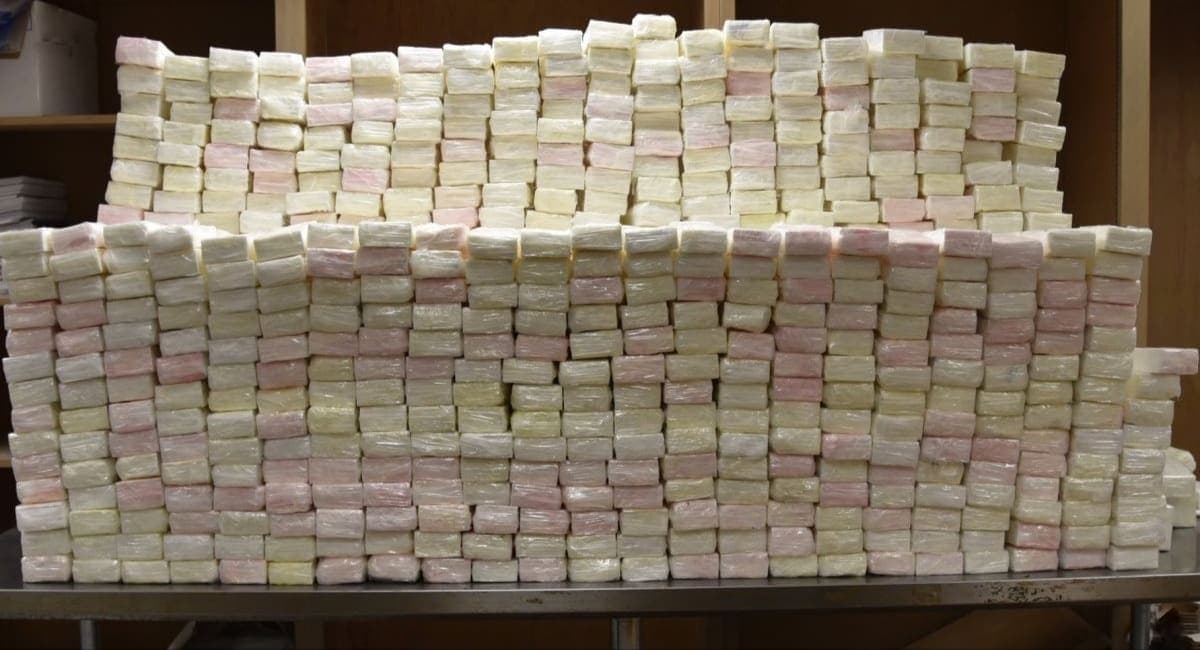 Golpe al narco: decomisaron más de media tonelada de cocaína valuada en 12 millones de dólares