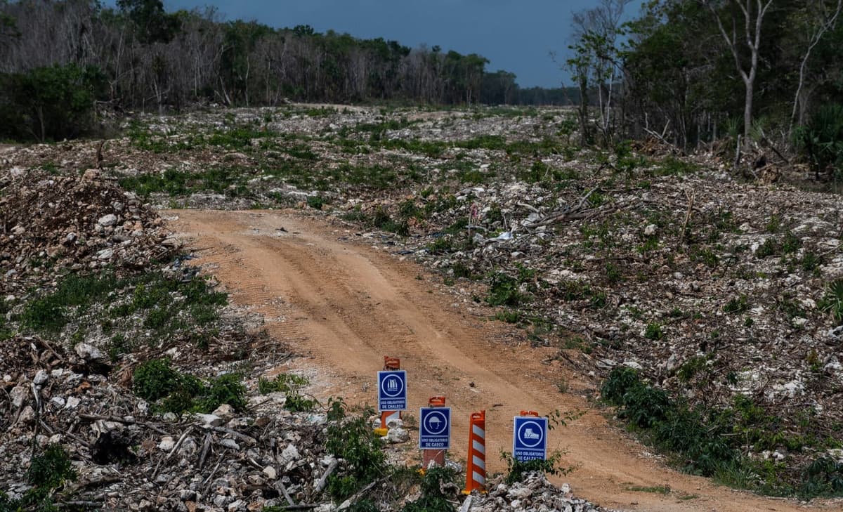 Expertos advierten a The New York Times sobre los peligros del Tren Maya