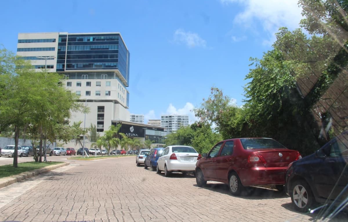 Obligan por amparos a Semarnat a rehabilitar manglar destruido en Malecón Tajamar