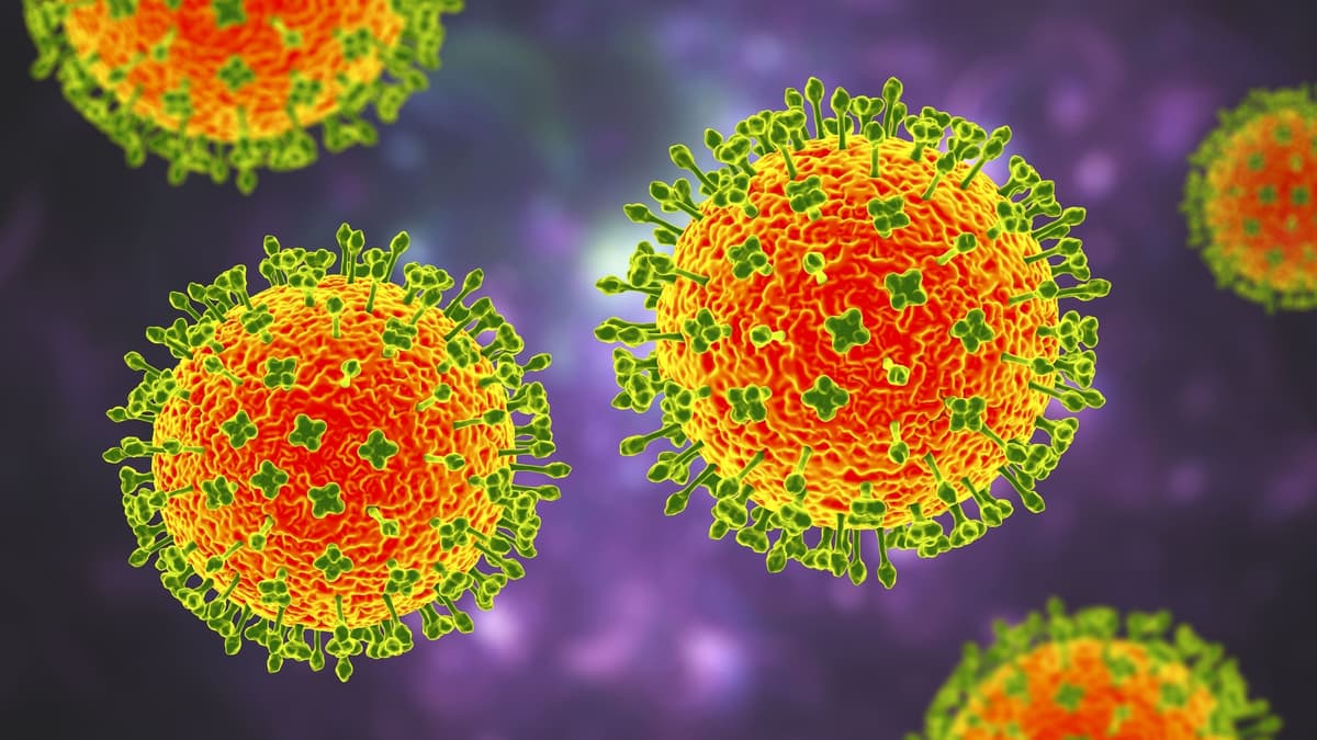Henipavirus, el nuevo virus detectado en China