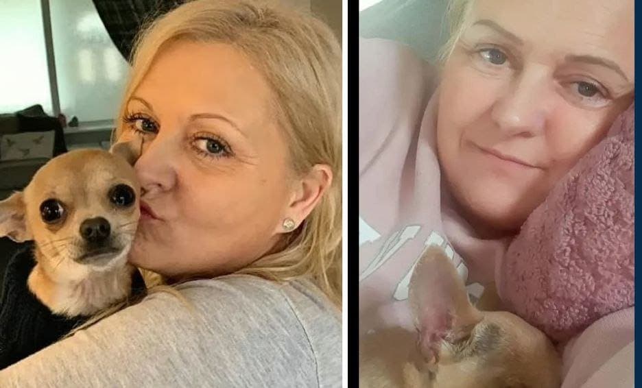 Mujer británica termina en el hospital por culpa de perrito chihuahua; defecó en su boca cuando dormía