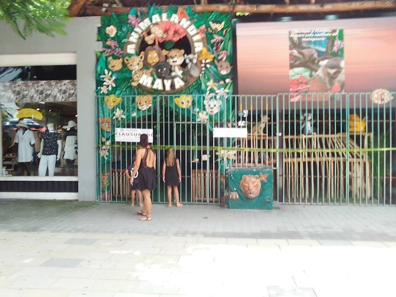 Con todo y sello de clausura, reabre Animalandia Maya en la Quinta Avenida