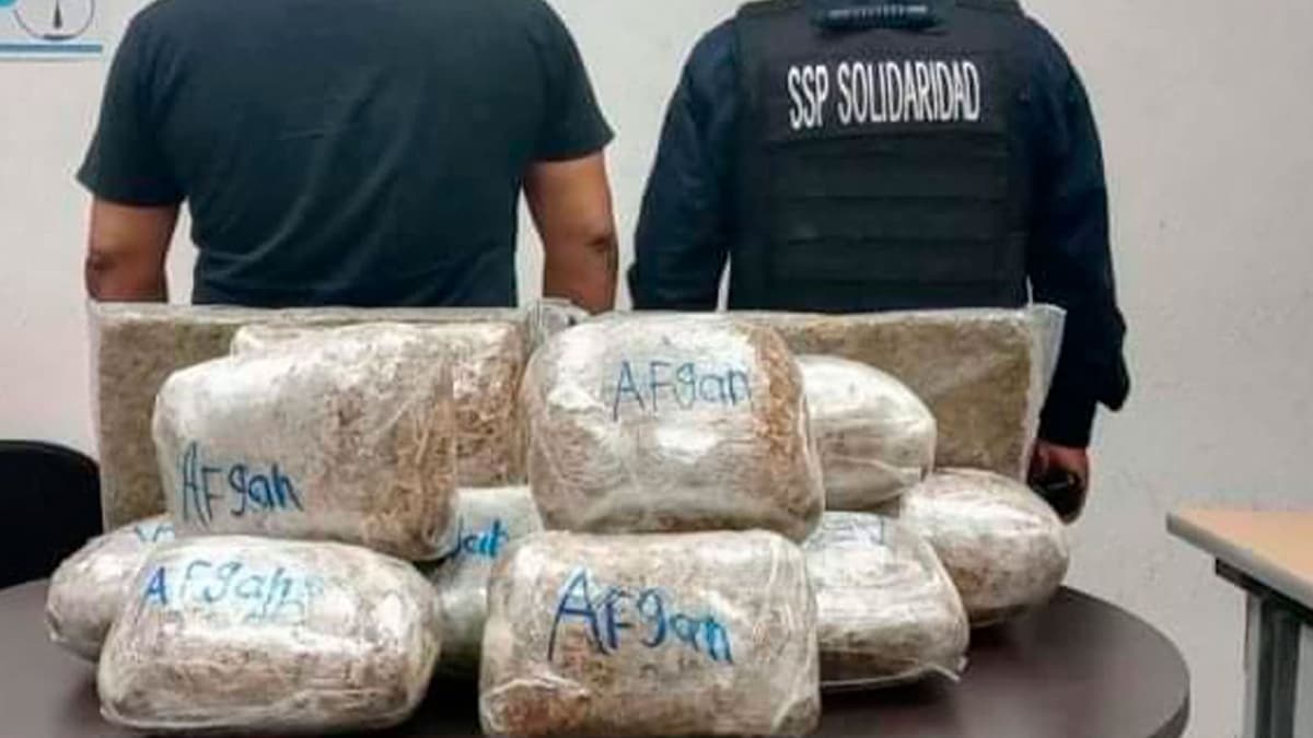 Aseguran 30 kilos de marihuana en domicilio de Villas del Sol en Playa del Carmen