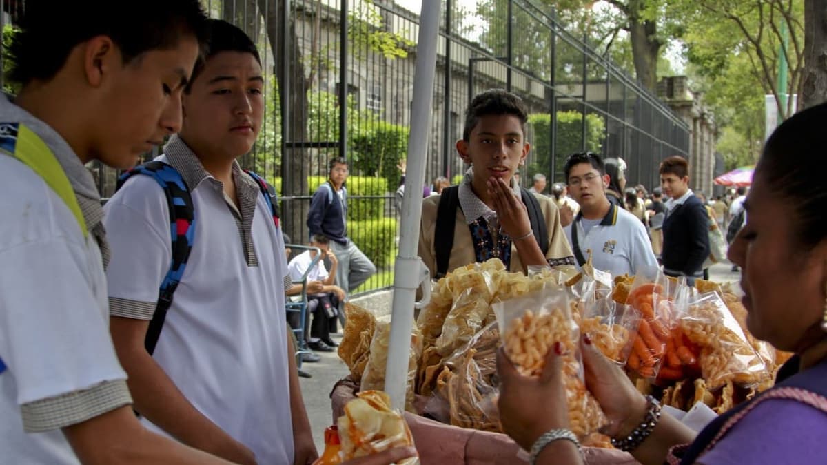 Diputados prohíben la venta de comida chatarra en las escuelas