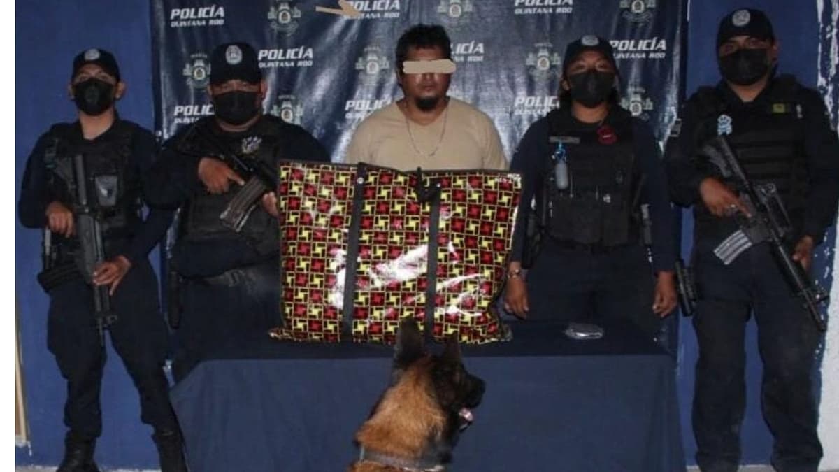 Capturan, con ayuda de binomio canino, a sujeto con ocho paquetes de droga en Playa del Carmen