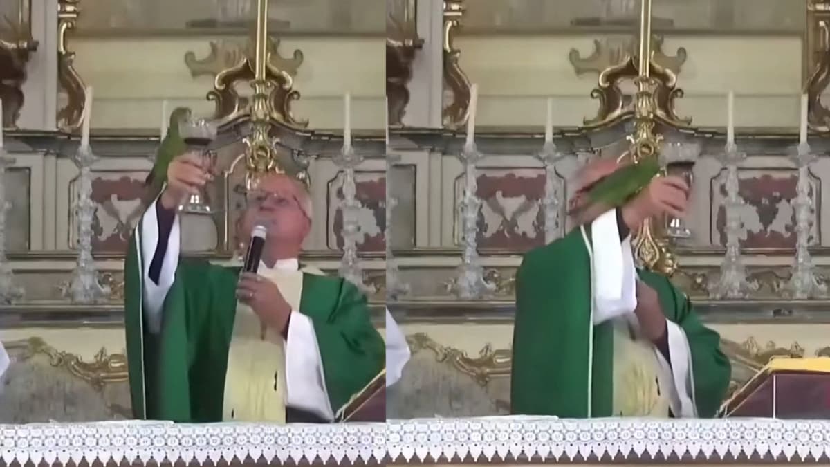 VIDEO: Loro irrumpe en misa e intenta beber el vino del sacerdote