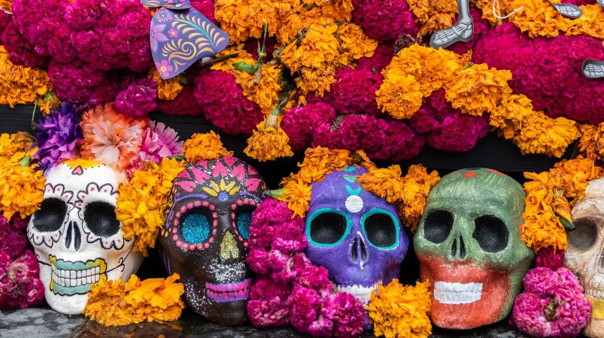 Cempasúchil, los mitos y realidades detrás de la famosa flor del Día de Muertos
