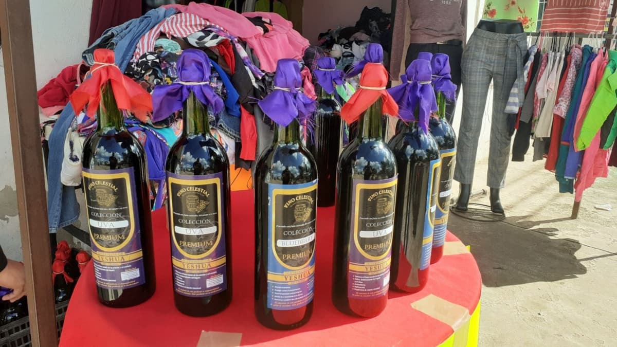 Se posicionan vinos de la Zona Maya en la preferencia de quintanarroenses