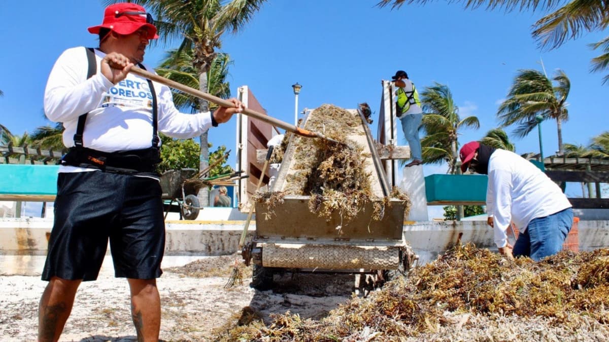 Este año se reforzaron los servicios públicos en Puerto Morelos para mantener una buena imagen urbana