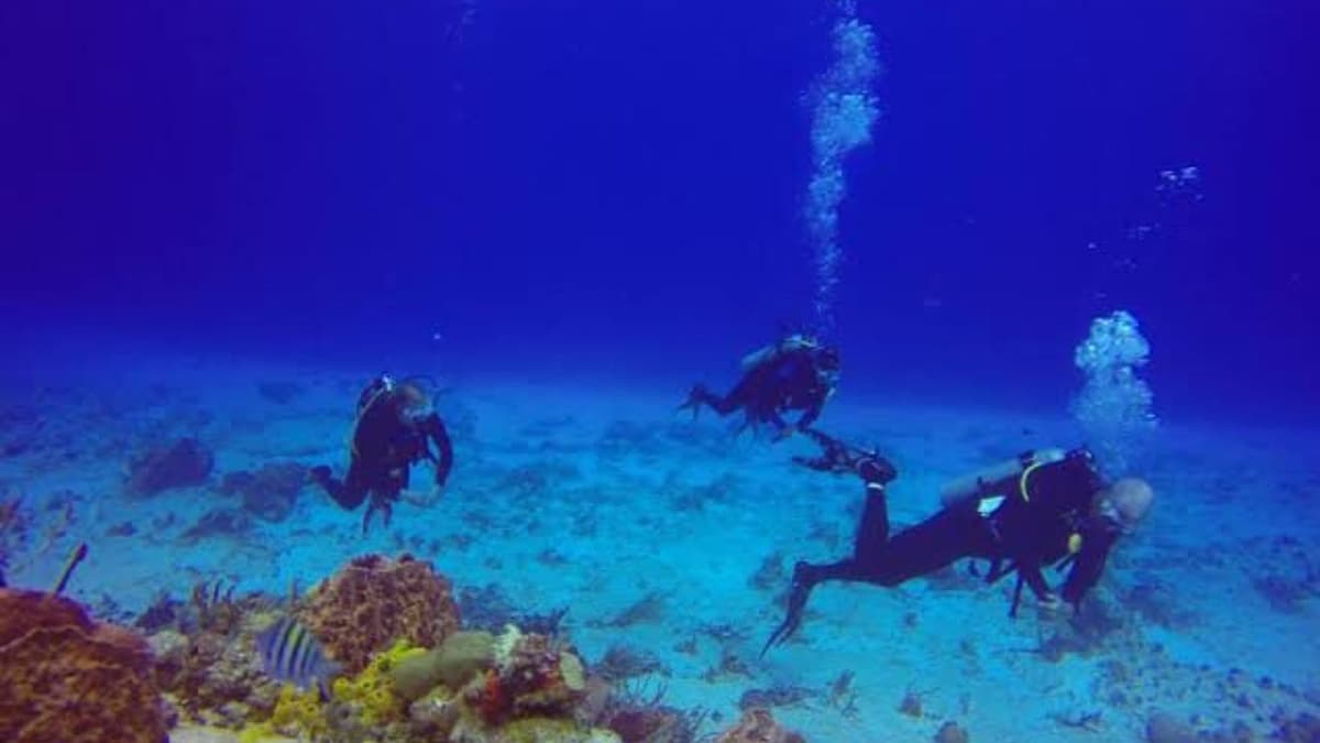 Autoridades localizan a tres buzos desaparecidos en Cozumel