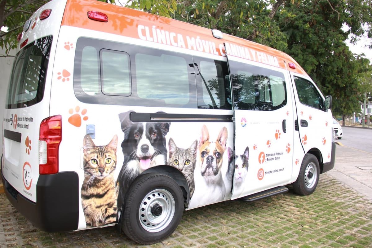Calendarizarán servicios de la clínica móvil para animales de Cancún; irá a regiones más lejanas