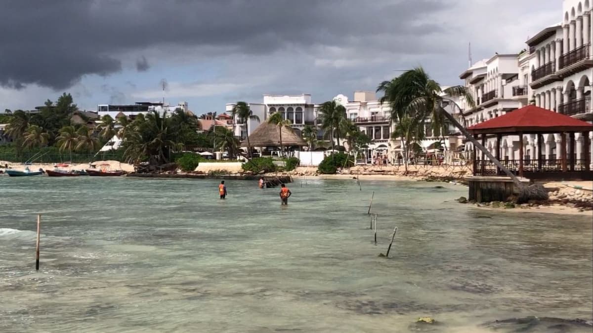 Playa del Carmen estará libre de sargazo en 2023; habrá doble maquinaria para limpiar: Zofemat
