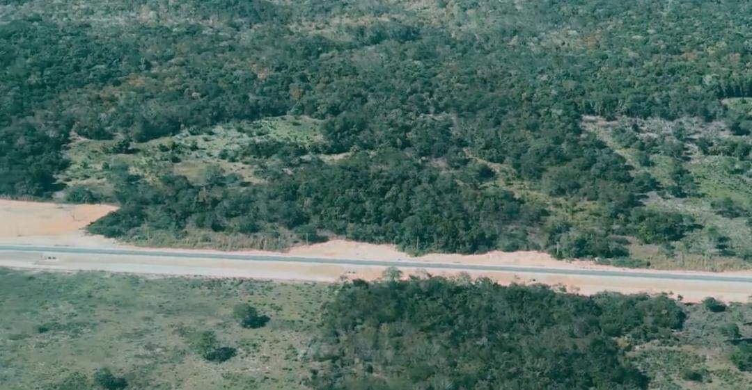 Video: Asegura AMLO que rieles del tramo 3 del Tren Maya estarán listos en marzo