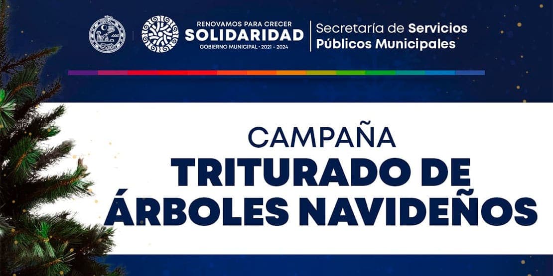 Gobierno abre centro de copio para árboles de navidad