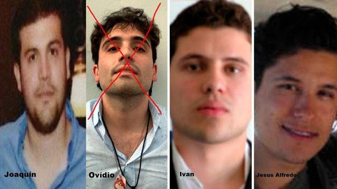 Cómo quedarían el Cártel de Sinaloa y "Los Chapitos" tras captura de Ovidio Guzmán