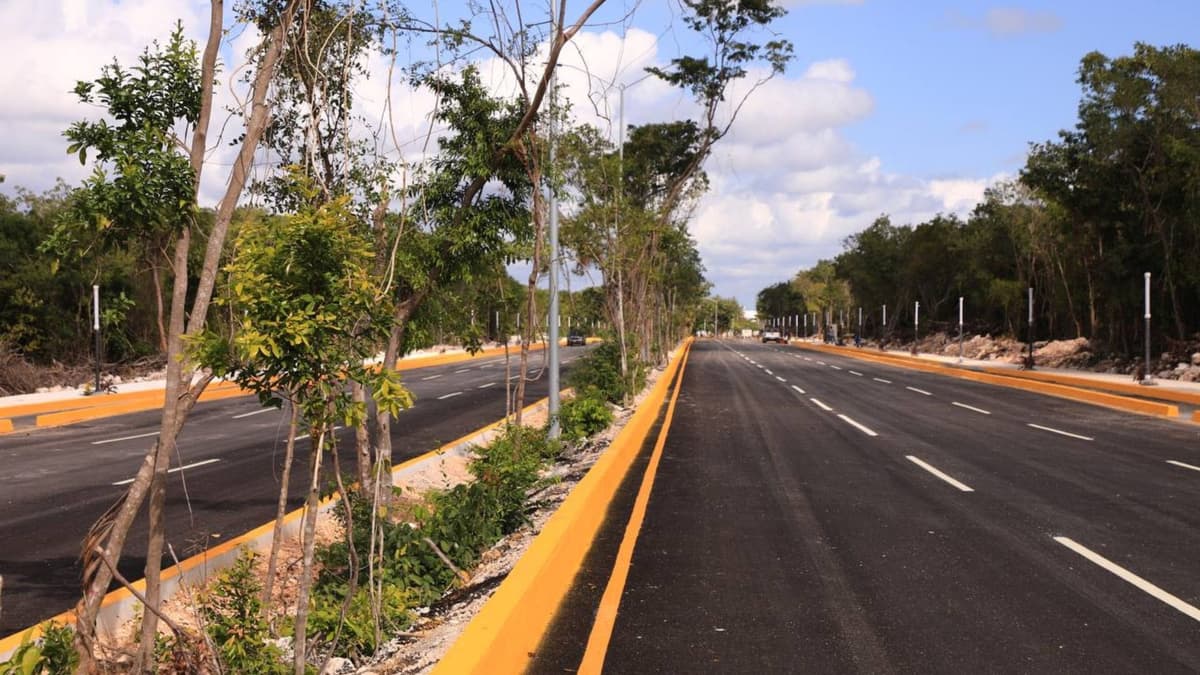 Embellecen Playa del Carmen con plantas nativas