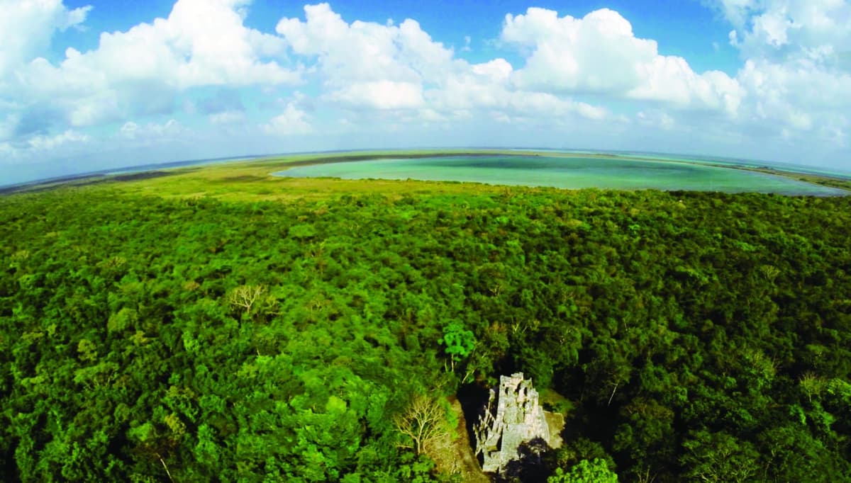 Declararán más de 16 mil hectáreas como Áreas Naturales Protegidas en seis estados, entre ellos Quintana Roo