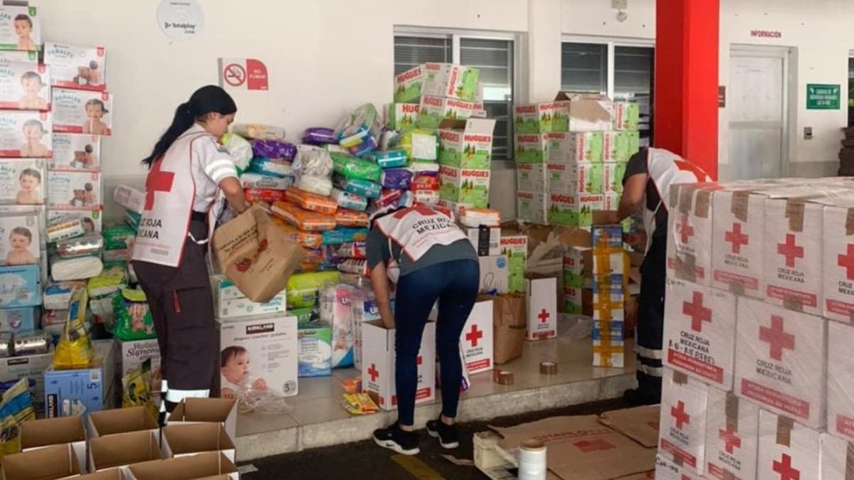 Cruz Roja ha recibido cerca de 5 toneladas de víveres para Turquía; campaña acaba el martes