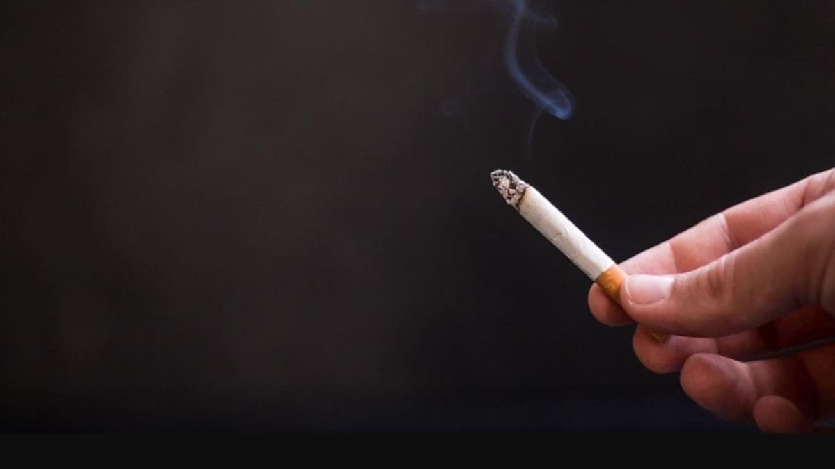 Agremiados de Canaco Playa del Carmen aún no han sido afectados por la ley antitabaco